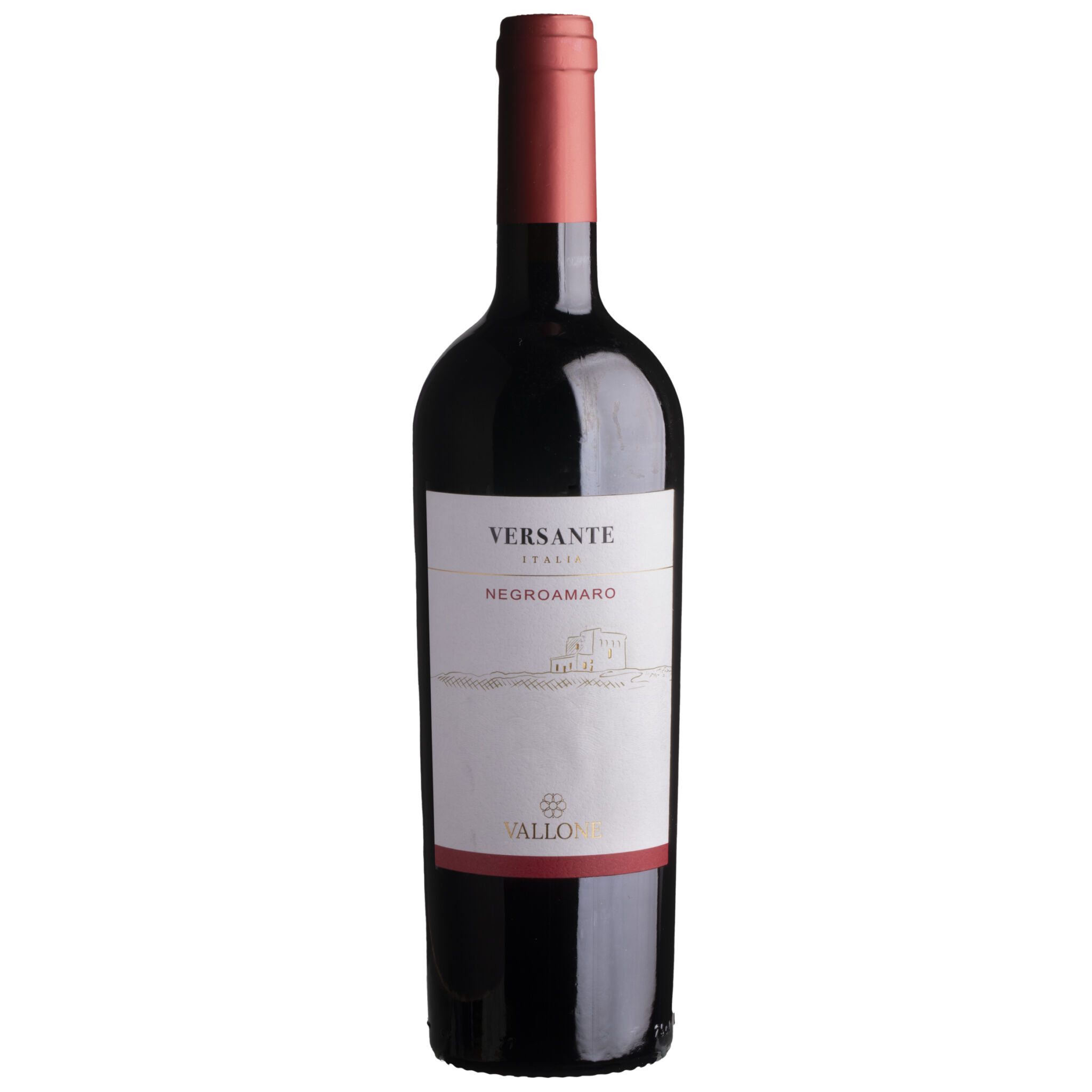 Vallone Versante Negroamaro 2023