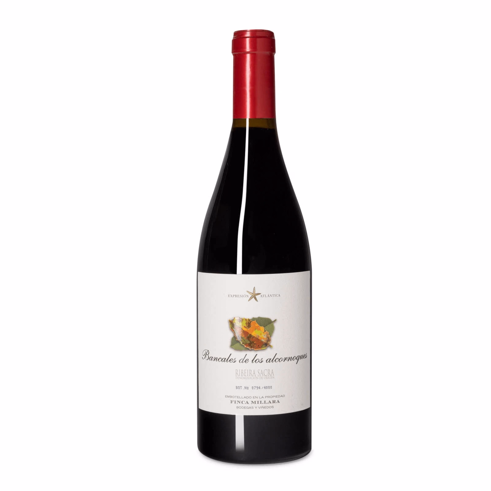 Bancales de los Alcornoques 2019 2 Bancales de los Alcornoques 2019