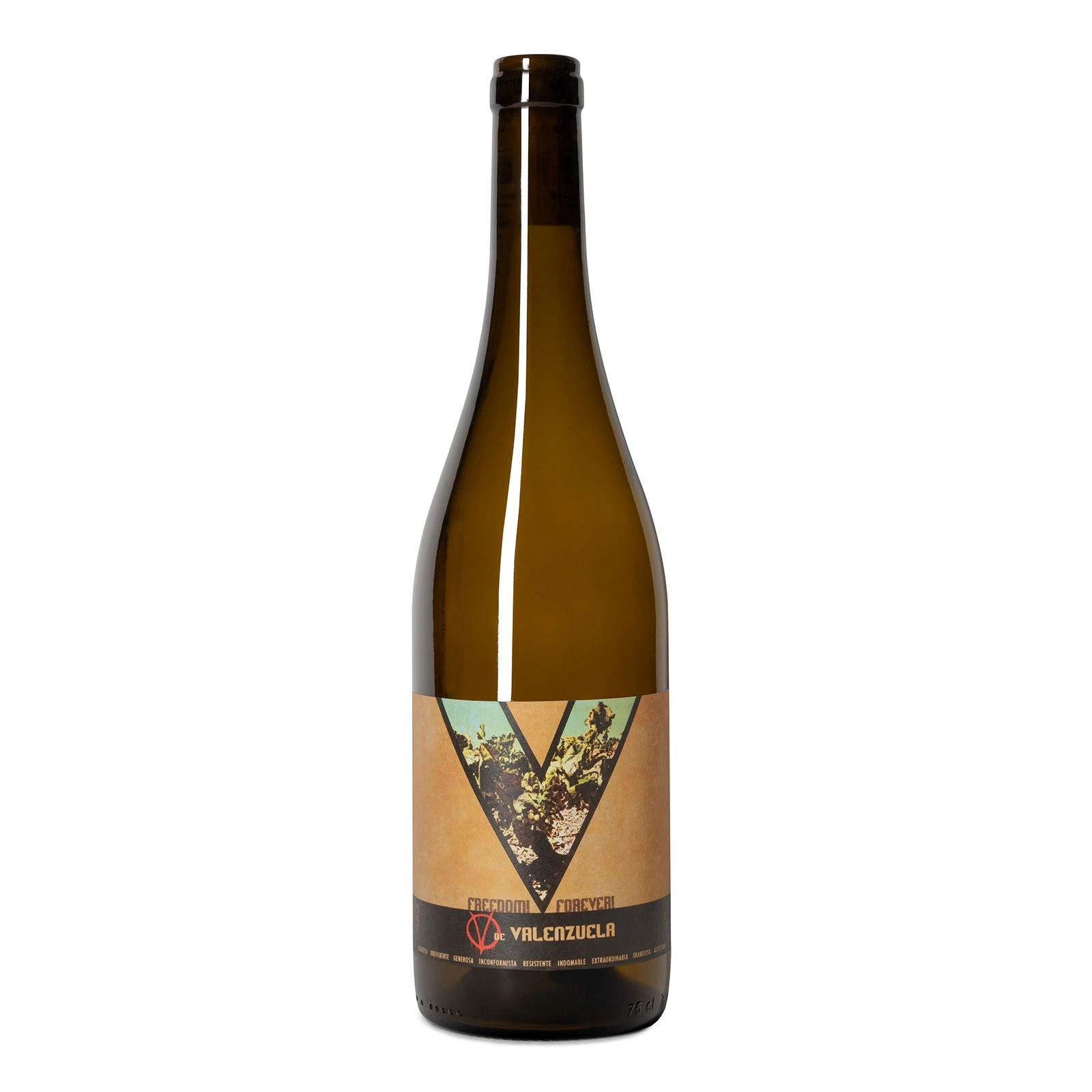 V de Valenzuela 2022