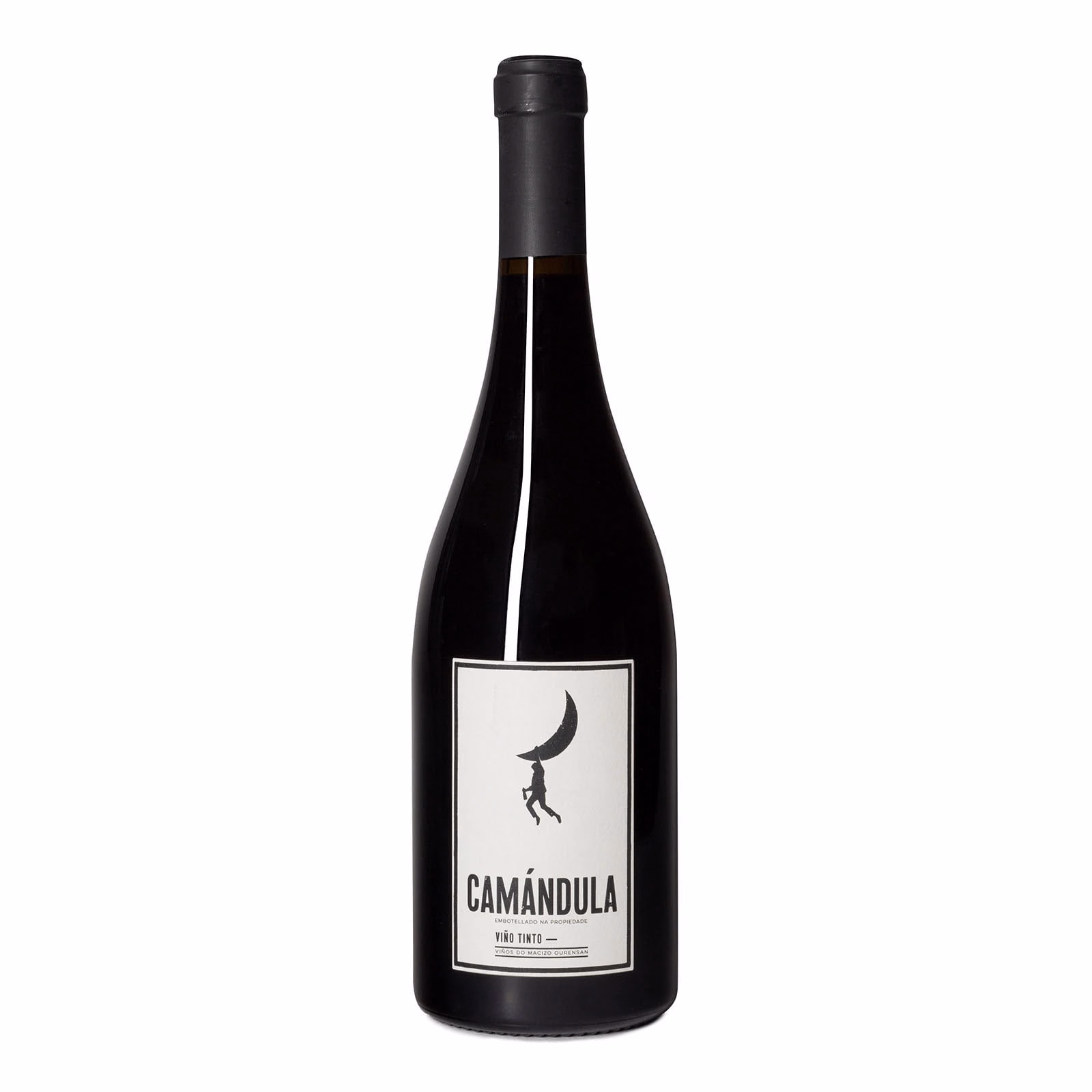 Camándula 2019