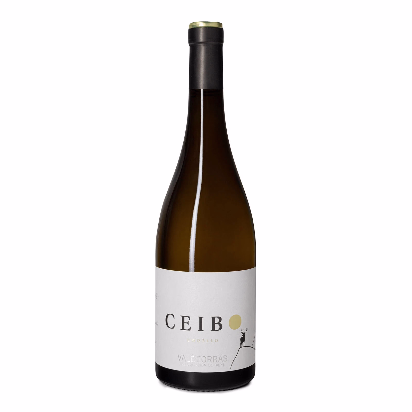 Ceibo 2025