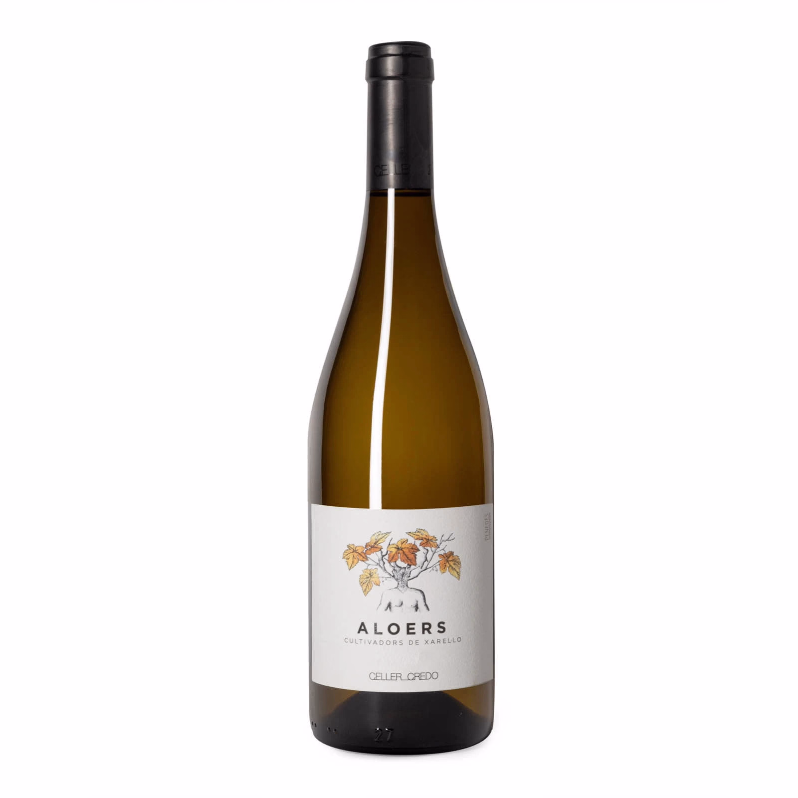 Aloers 2019