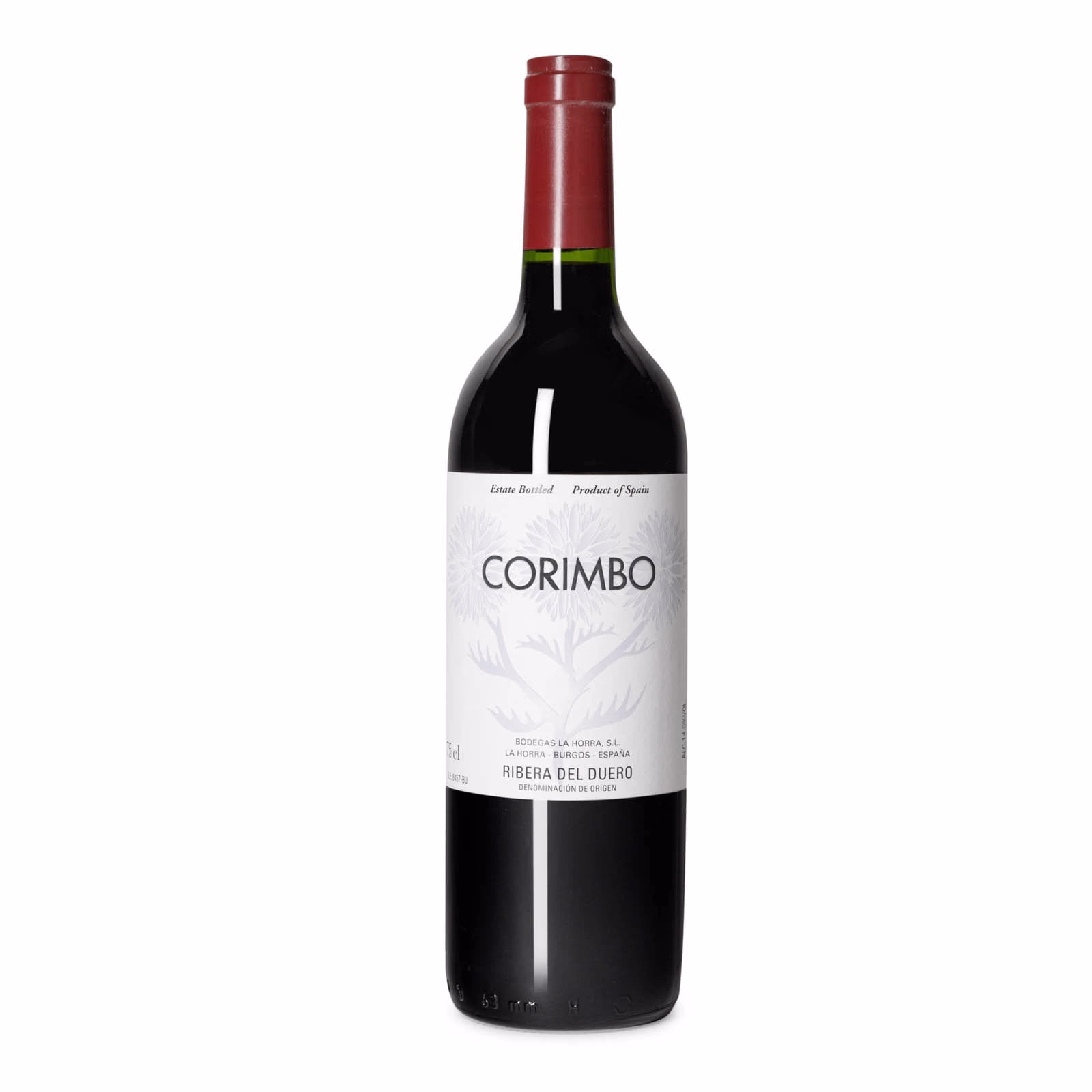 Corimbo 2021 10 Corimbo 2021