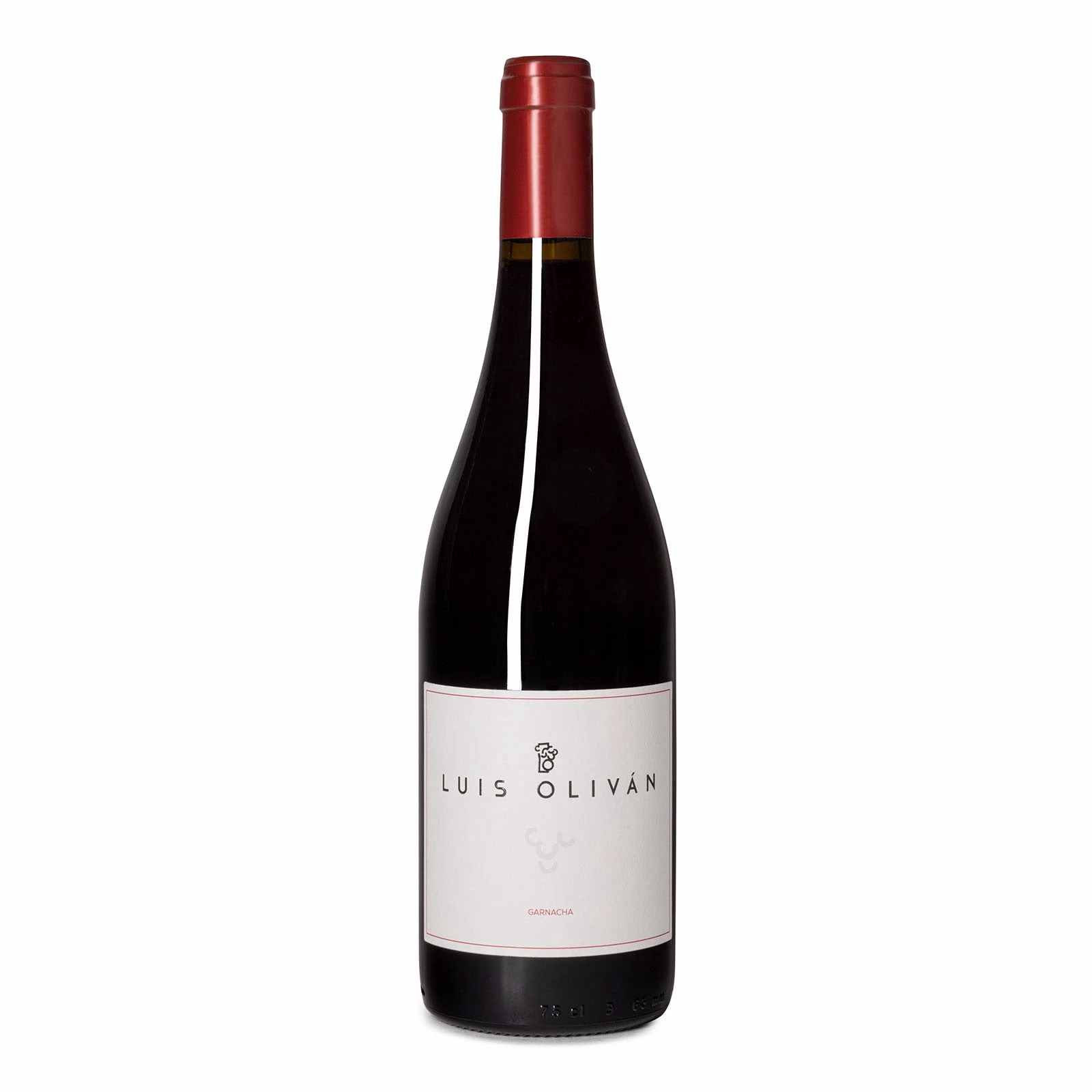 Luis Oliván Garnacha 2021