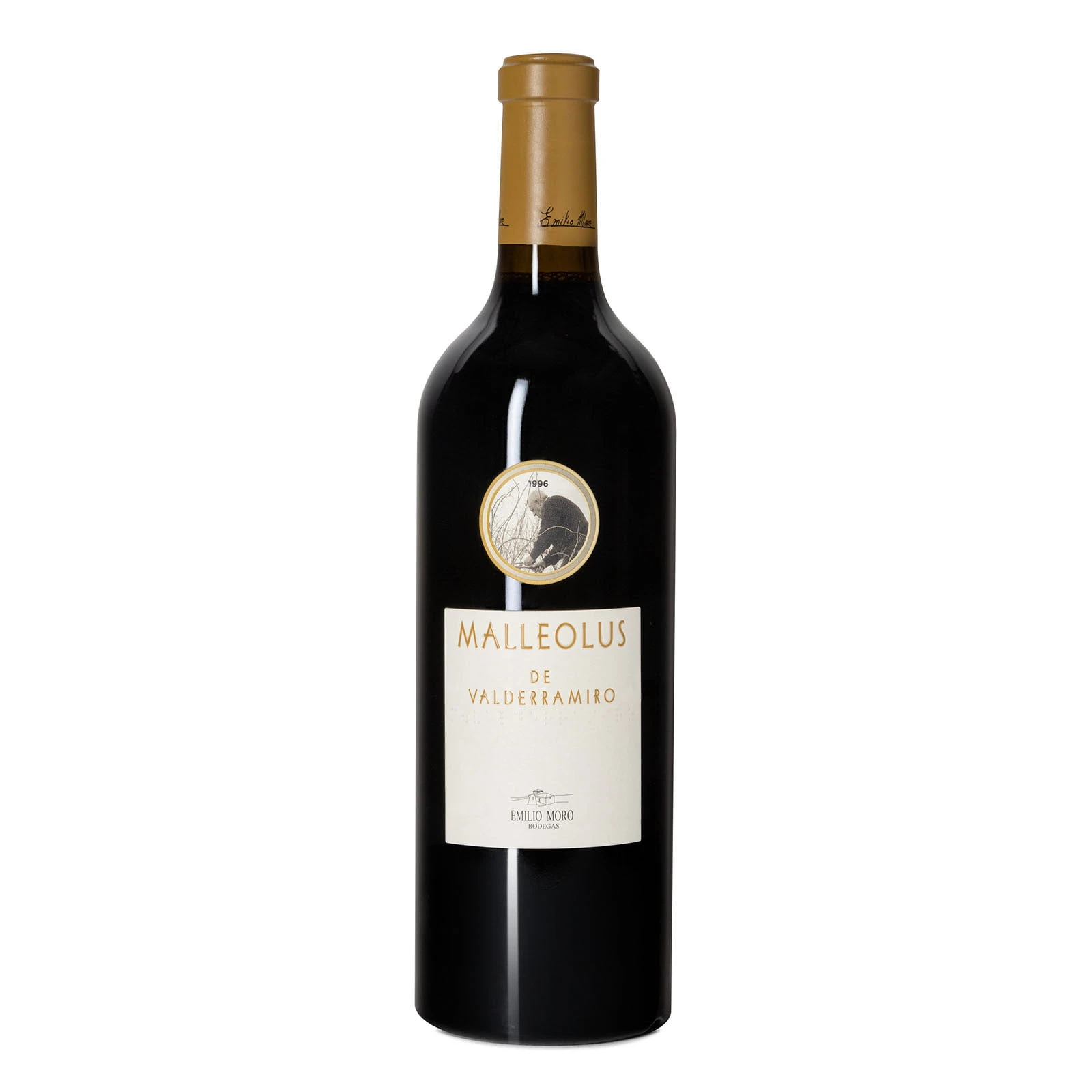 Malleolus de Valderramiro 2020