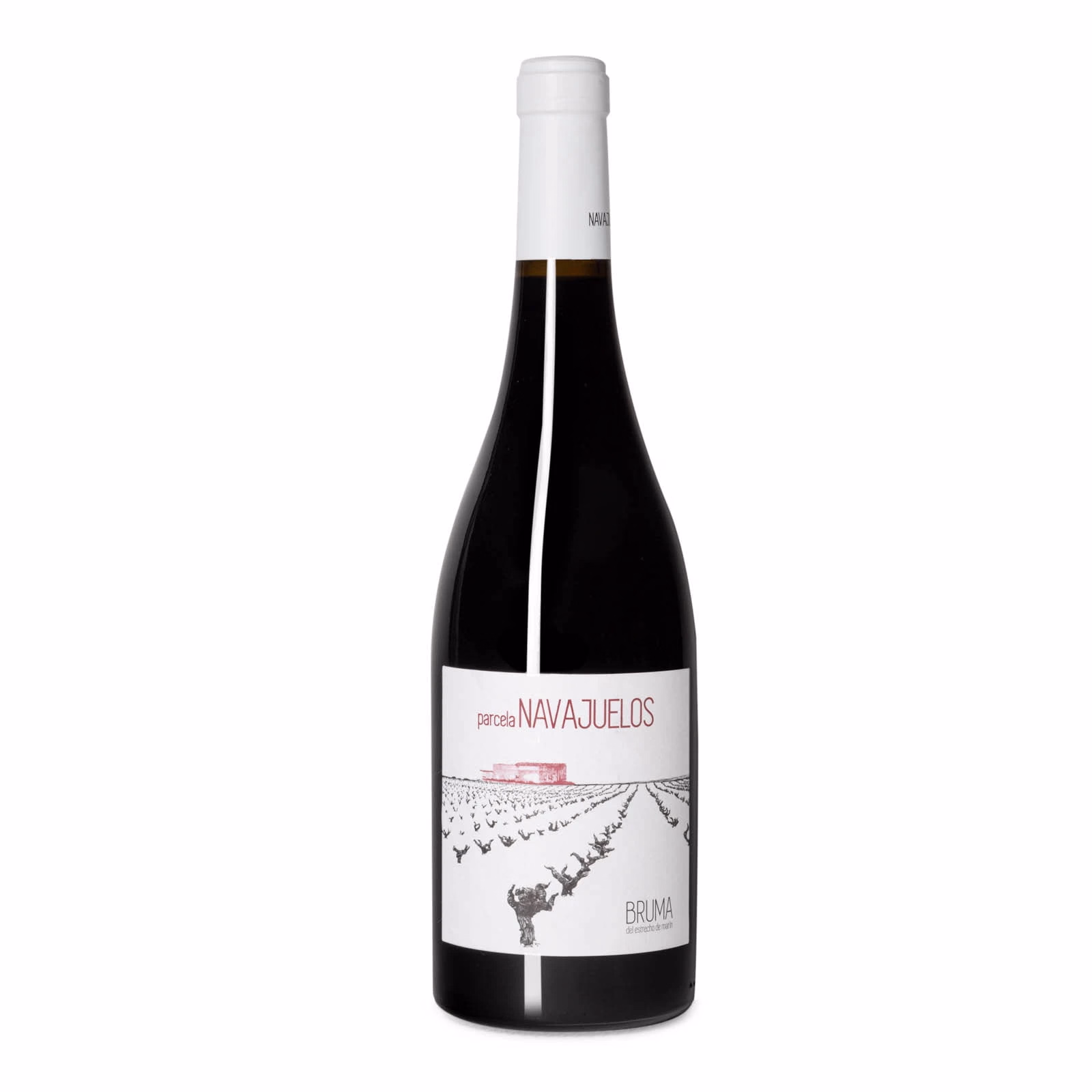 parcela-navajuelos-bruma-jumilla_1 Bruma del Estrecho Parcela Navajuelos