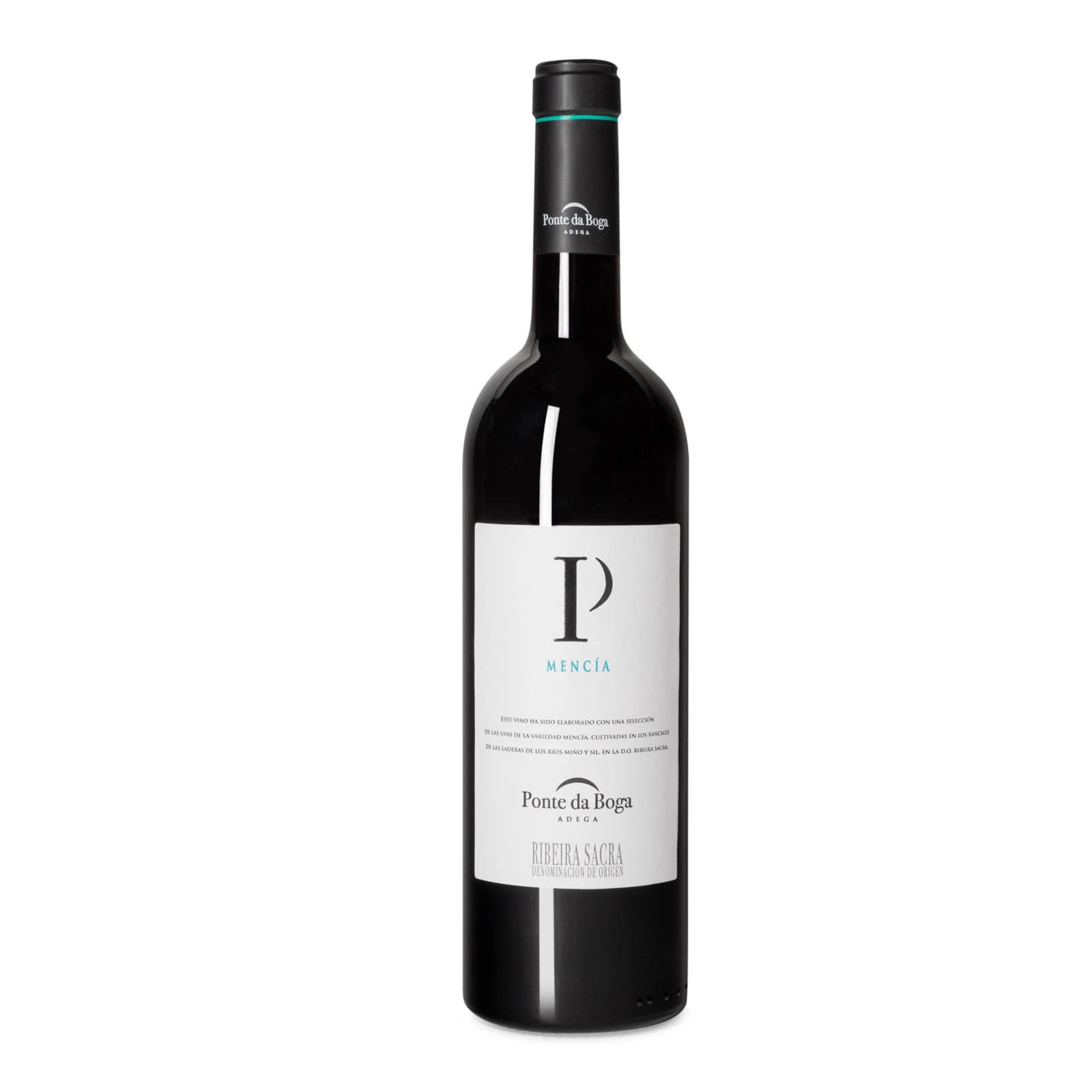 P de Ponte da Boga 2023