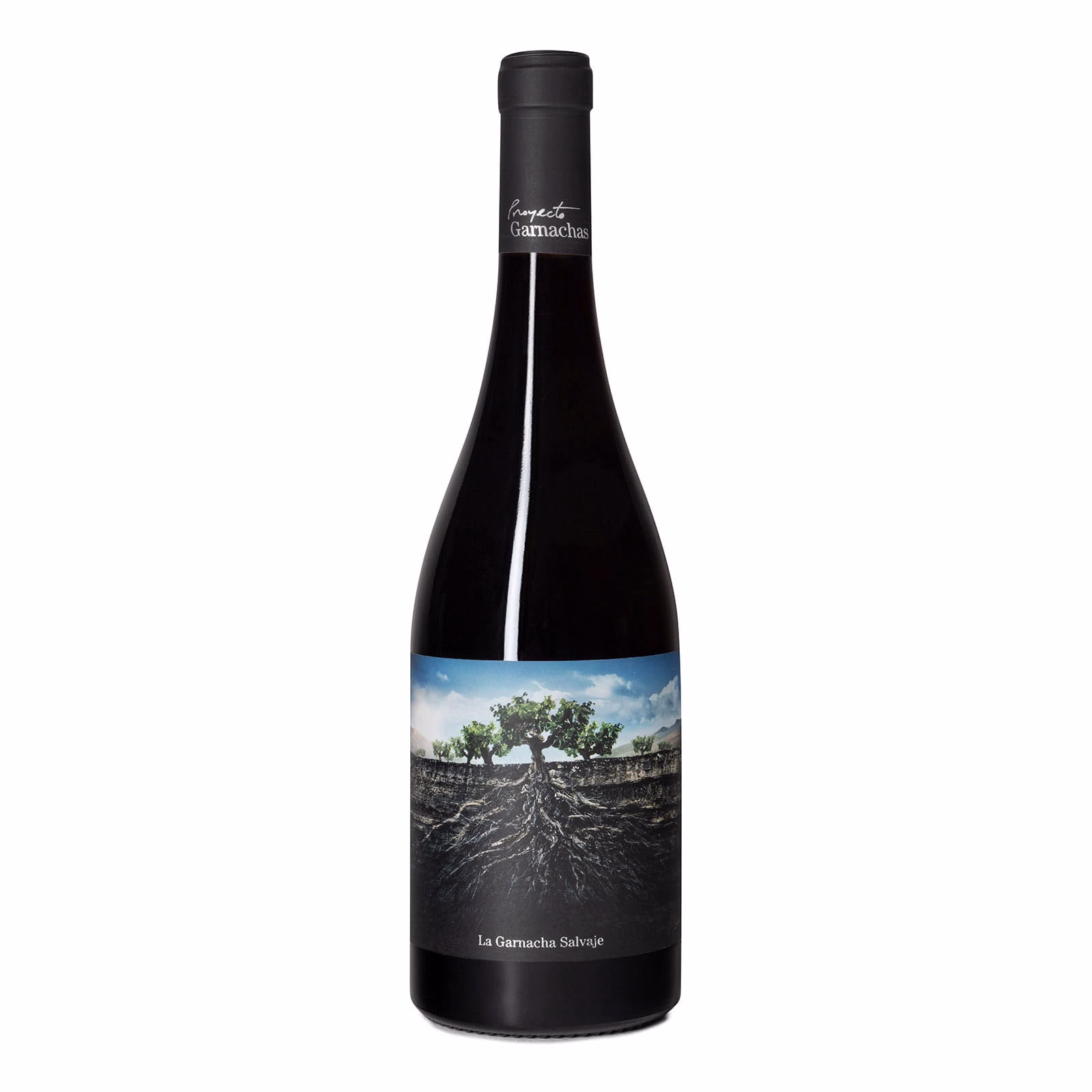 Garnacha Salvaje del Moncayo 2023