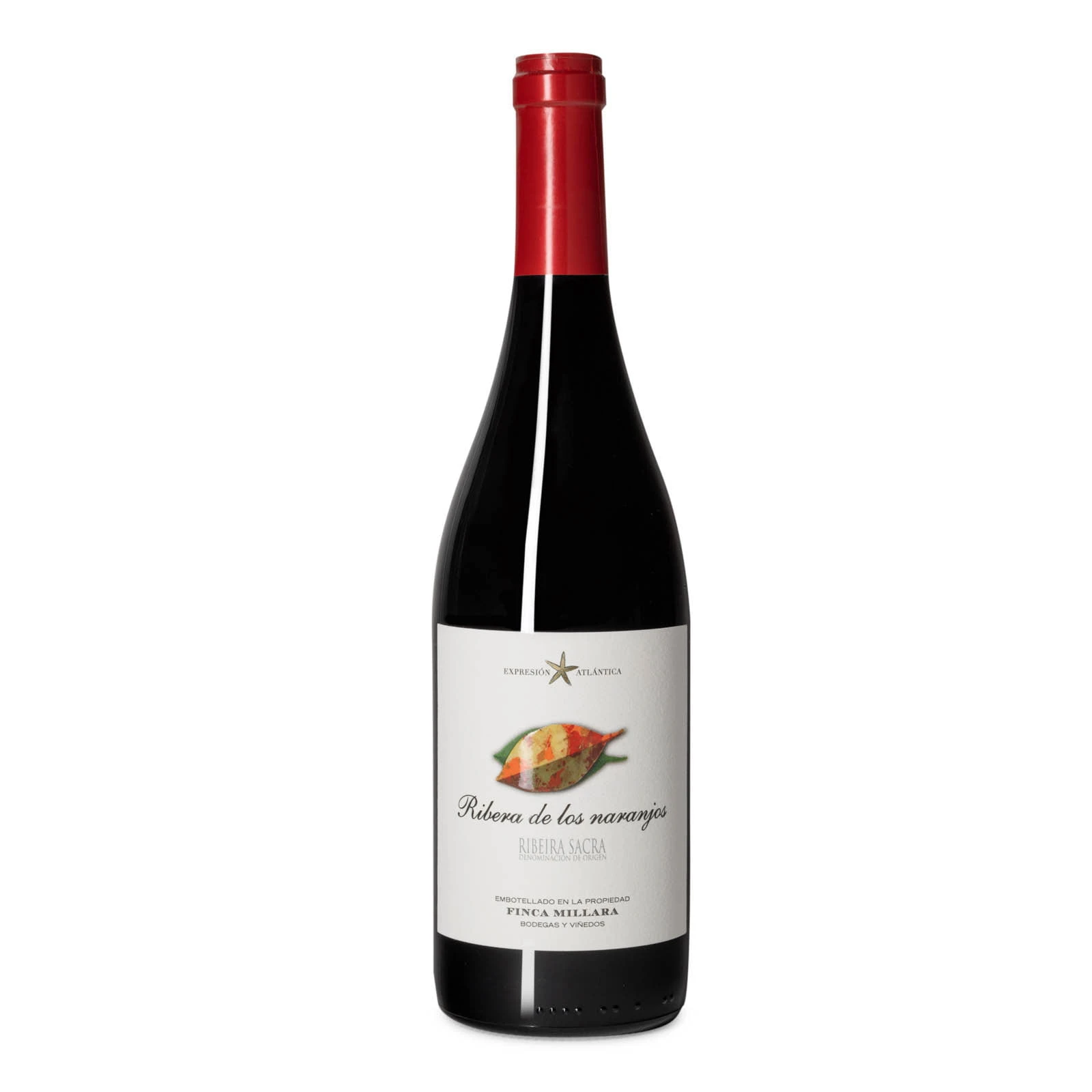 Ribera de los Naranjos 2022