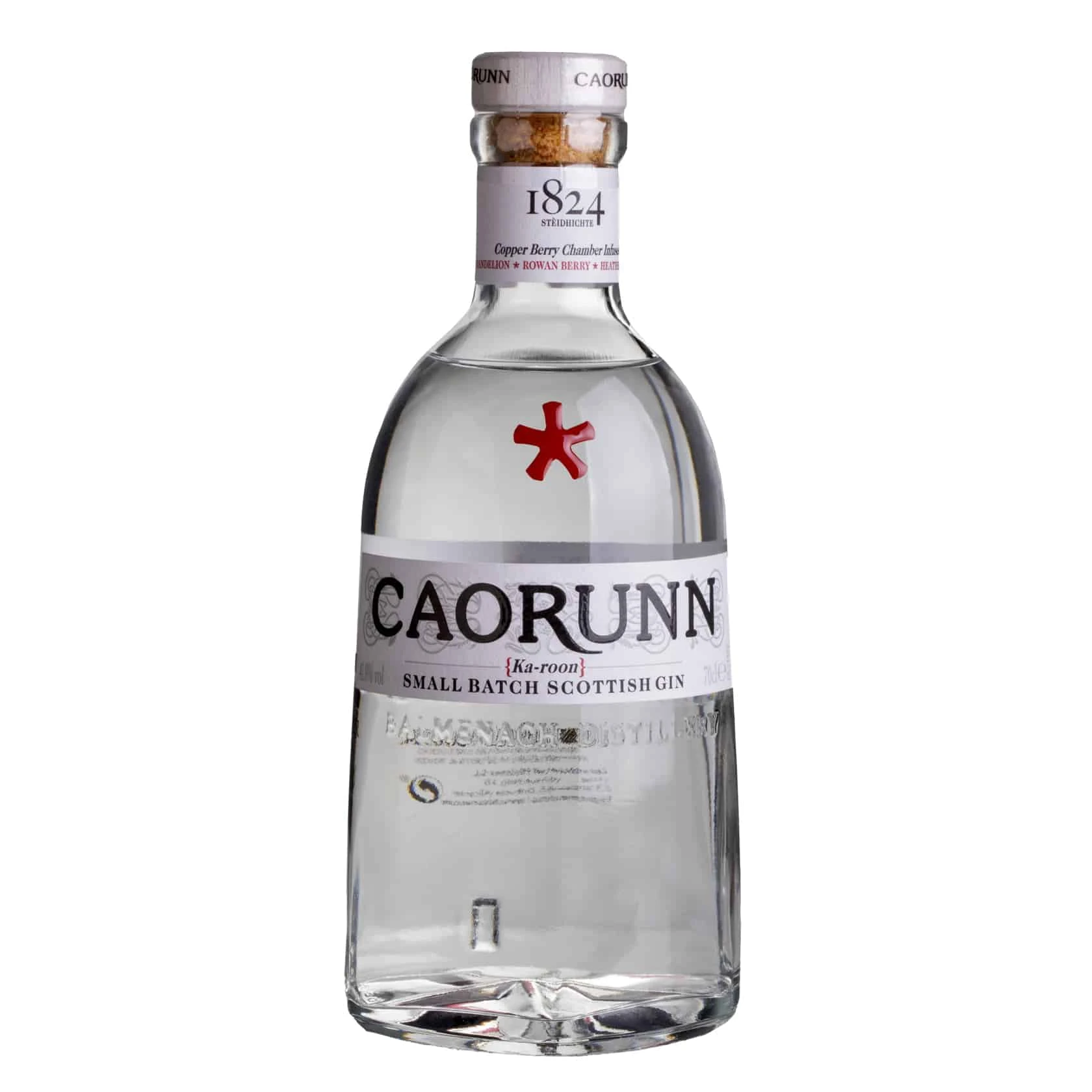 Ginebra Caorunn Small Batch Scottish Dry 41.8%