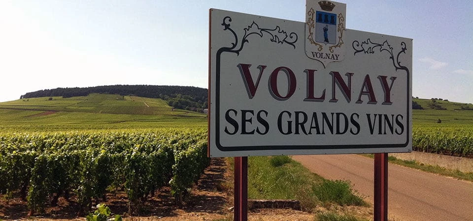 Cata de Vinos de Volnay (31/01/2023)