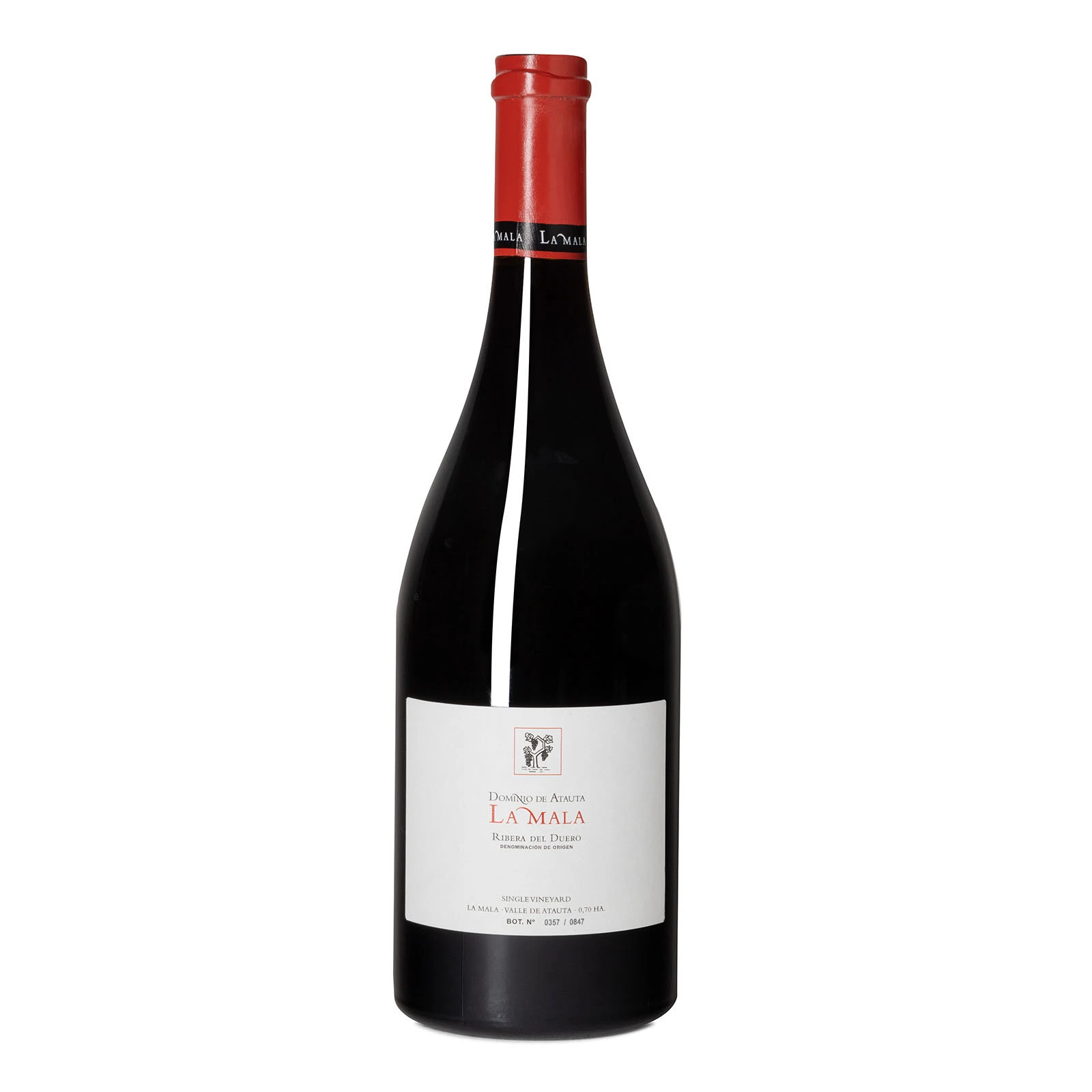 Dominio de Atauta La Mala 2018