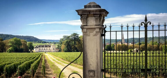 Cata de vinos de Chassagne-Montrachet