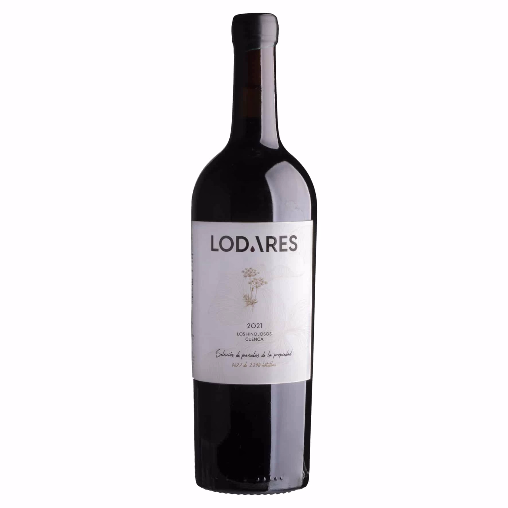 Lodares 2022 11 Lodares 2022