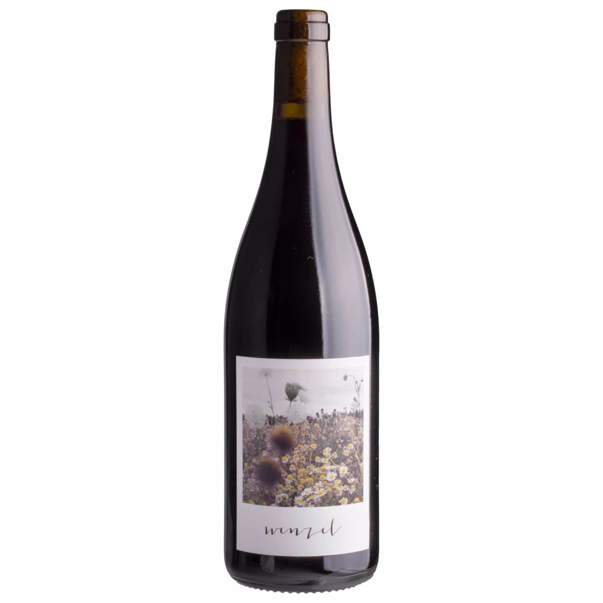 Michael Wenzel Pinot Noir Kalkstein 2023 10 Michael Wenzel Pinot Noir Kalkstein 2023