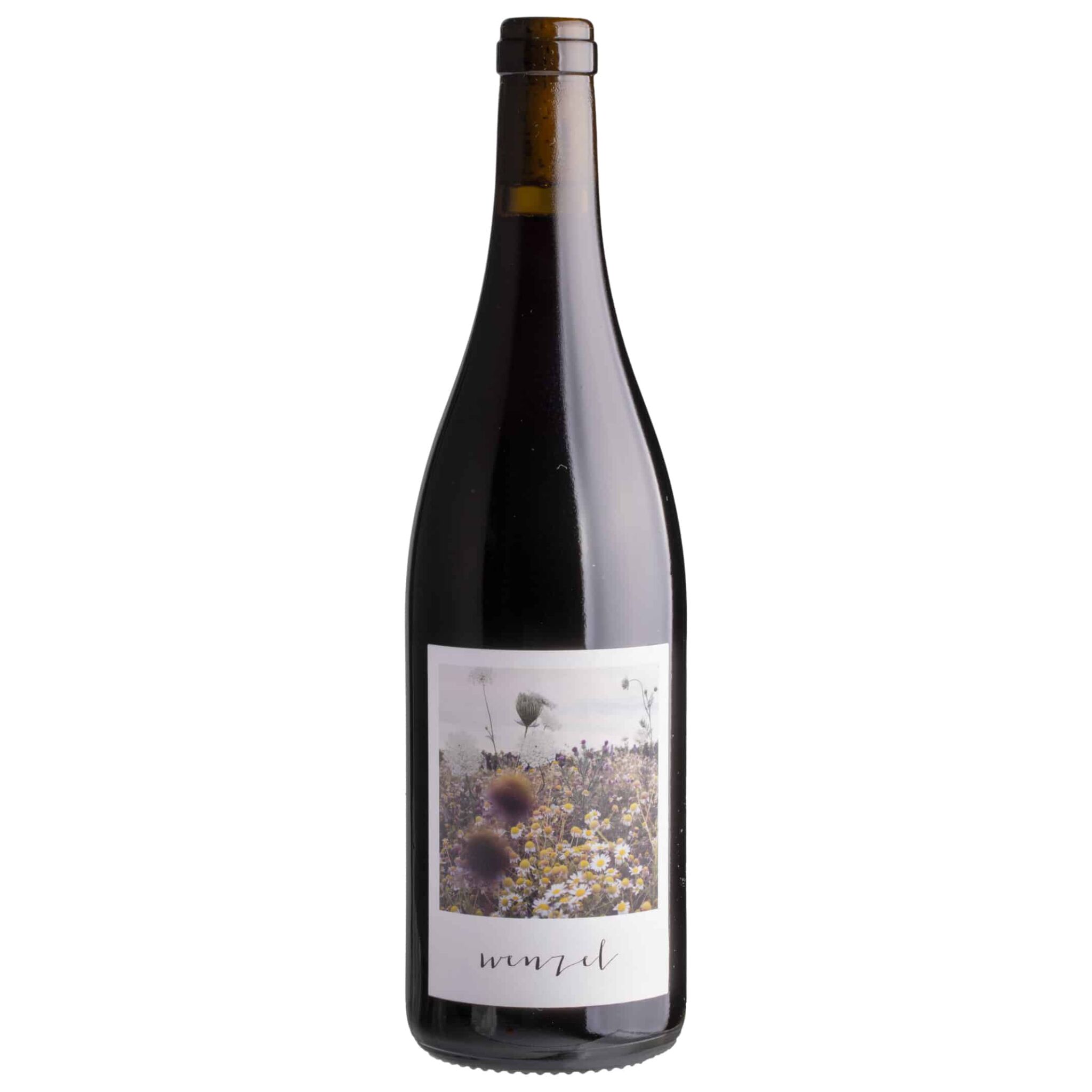 Michael Wenzel Pinot Noir 2023