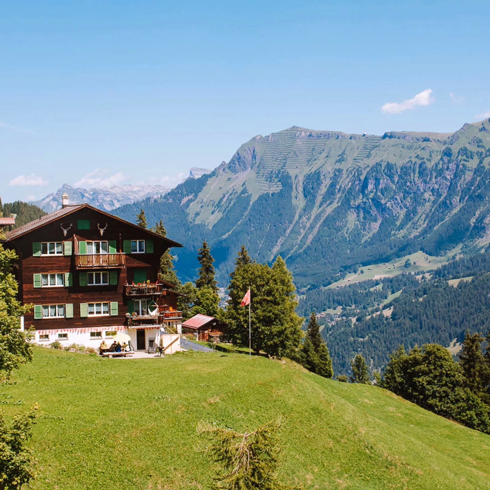 Maridaje de quesos de Suiza y Saboya, con vinos del mundo (Repetición) 2 Maridaje de quesos de Suiza y Saboya, con vinos del mundo (Repetición)