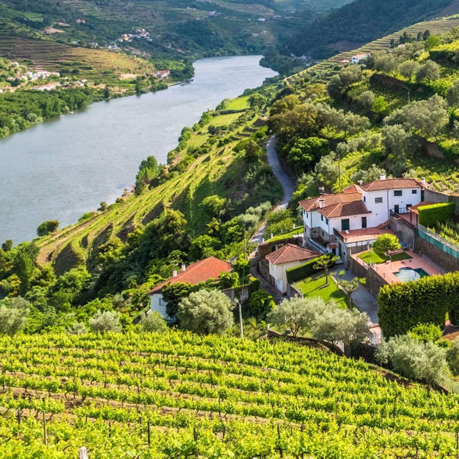 Serie Vinos de Oporto (3): El auge de los Colheitas. 2 Serie Vinos de Oporto (3): El auge de los Colheitas.