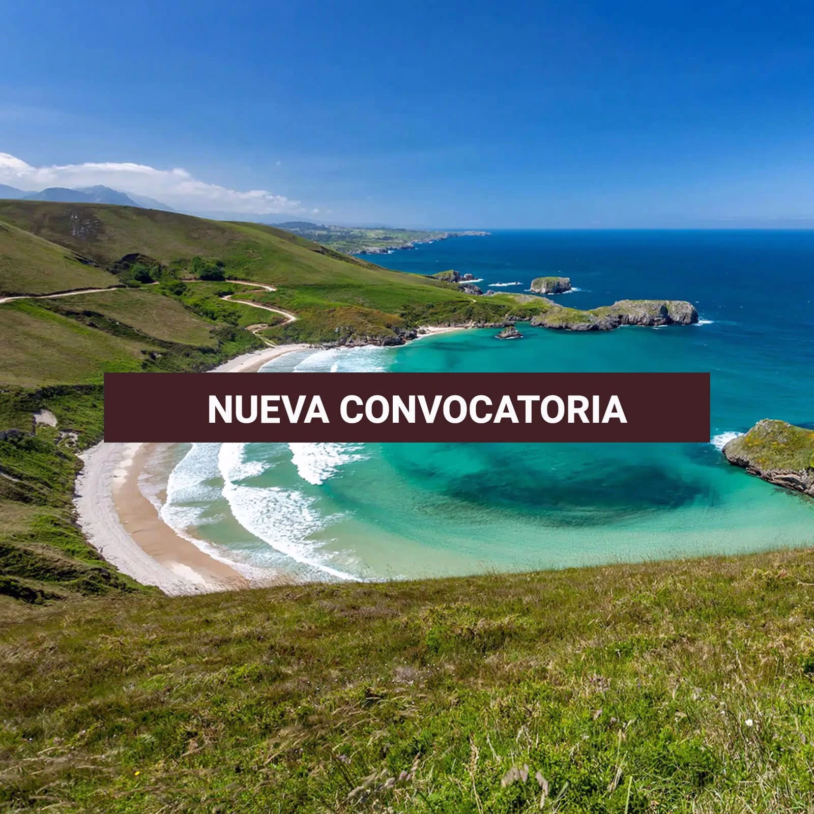 Maridaje de Anchoas del Cantábrico con vinos blancos de Europa 2 Maridaje de Anchoas del Cantábrico con vinos blancos de Europa