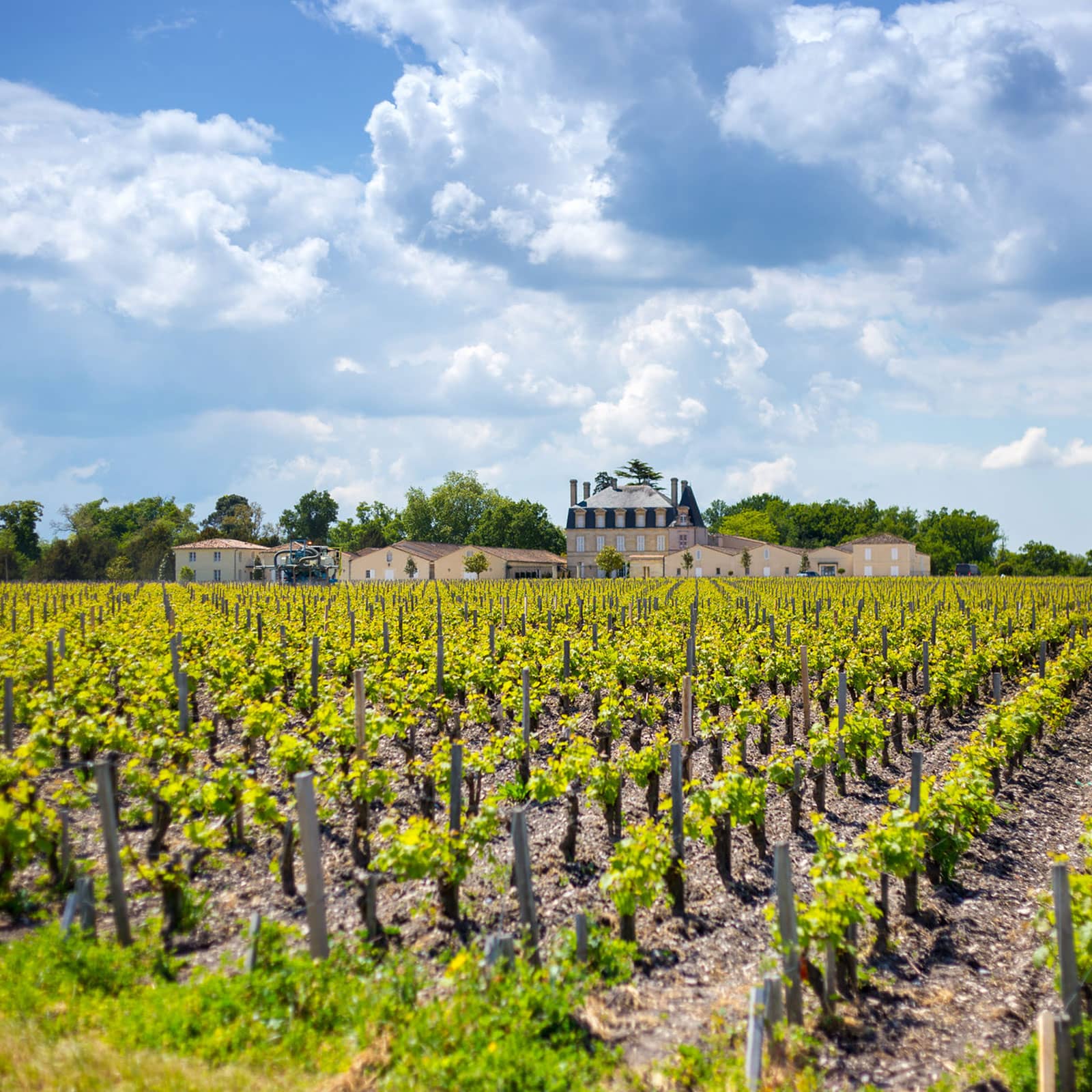 Margaux: La elegancia de Burdeos.