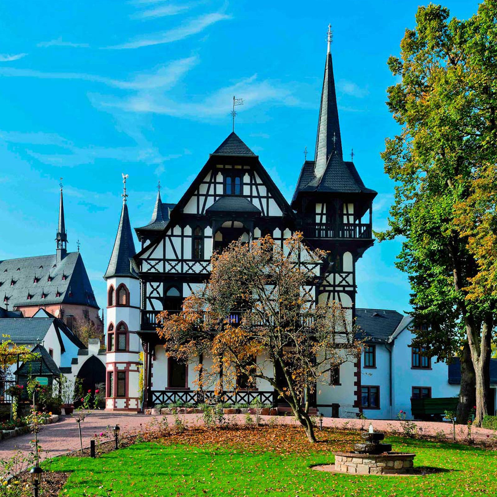 Vinos de Robert Weill (Alemania): La magia del Reinghau.