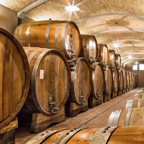 Tienda de vinos online