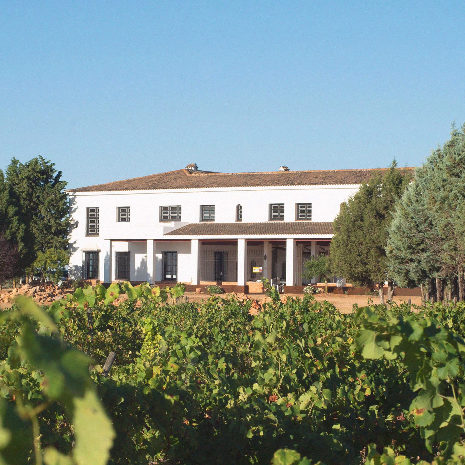 Cata de vinos de Finca Élez 5 Cata de vinos de Finca Élez